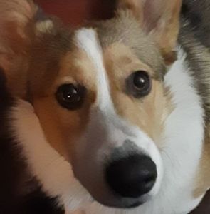 Meet your Posher, Clinton